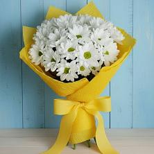 Букет цветов из:  Хризантемы в Рыбхоз