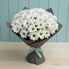 Букет цветов из:  Хризантемы в Рыбхоз