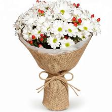 Букет цветов из:  Хризантемы #REPLACE_PRED# Рыбхоз